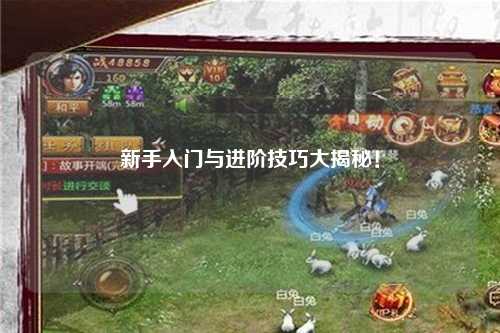 新手入門與進階技巧大揭秘！