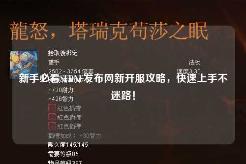 新手必看SFDNF發(fā)布網(wǎng)新開服攻略，快速上手不迷路！