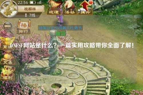 DNFSF網(wǎng)站是什么？一篇實(shí)用攻略帶你全面了解！