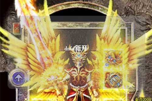 dnfsf新開