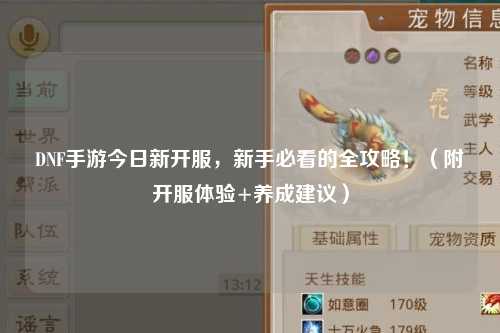 DNF手游今日新開服，新手必看的全攻略！（附開服體驗+養(yǎng)成建議）