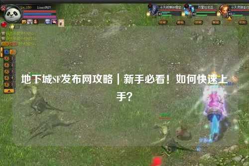 地下城SF發布網攻略｜新手必看！如何快速上手？