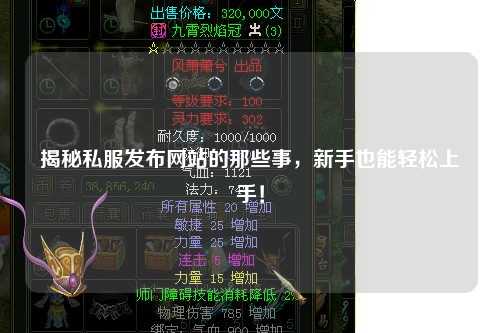 揭秘私服發布網站的那些事，新手也能輕松上手！