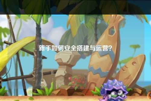 新手如何安全搭建與運營？