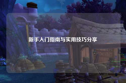 新手入門指南與實(shí)用技巧分享