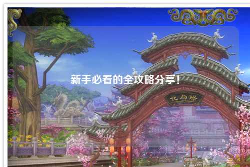 新手必看的全攻略分享！