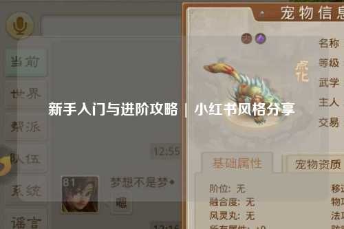 新手入門與進階攻略 | 小紅書風格分享