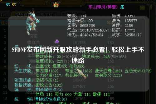 SFDNF發布網新開服攻略新手必看！輕松上手不迷路