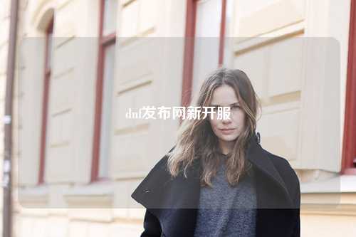 dnf發布網新開服
