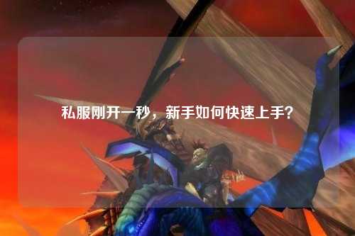 私服剛開(kāi)一秒，新手如何快速上手？