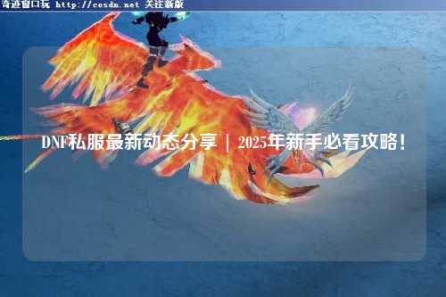 DNF私服最新動態分享 | 2025年新手必看攻略！