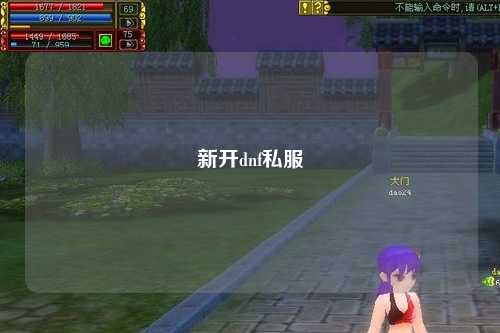 新開dnf私服