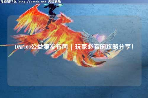 DNF100公益服發(fā)布網(wǎng) | 玩家必看的攻略分享！