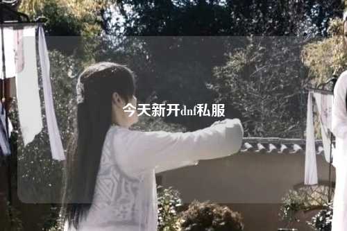 今天新開dnf私服