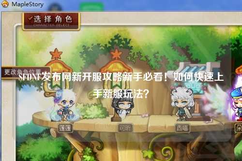 SFDNF發布網新開服攻略新手必看！如何快速上手新服玩法？
