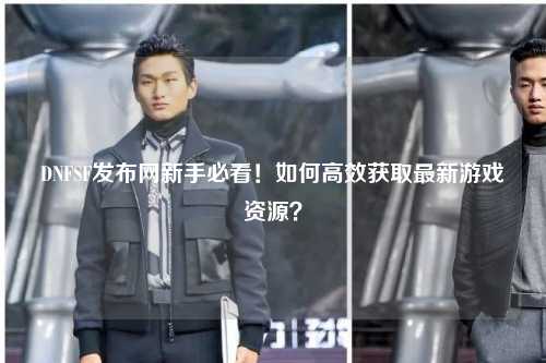 DNFSF發(fā)布網(wǎng)新手必看！如何高效獲取最新游戲資源？