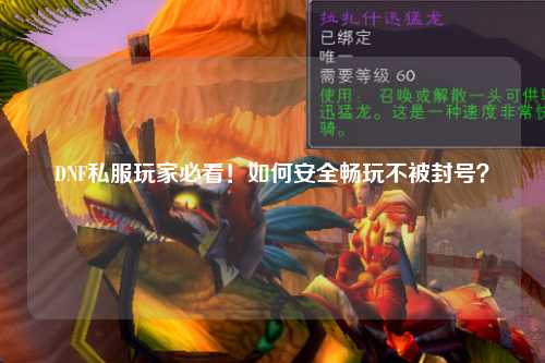 DNF私服玩家必看！如何安全暢玩不被封號？
