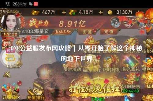 DNF公益服發布網攻略 | 從零開始了解這個神秘的地下世界
