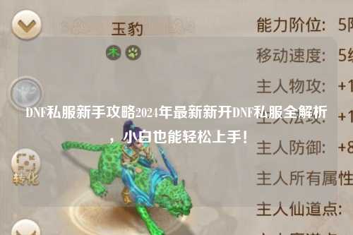 DNF私服新手攻略2024年最新新開DNF私服全解析，小白也能輕松上手！