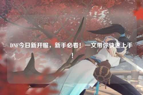 DNF今日新開服，新手必看！一文帶你快速上手！