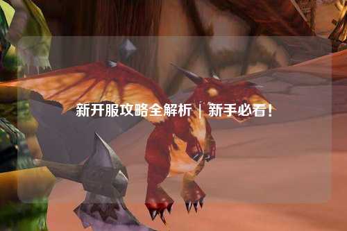 新開服攻略全解析 | 新手必看！