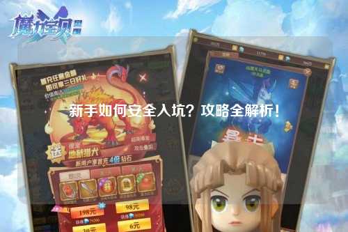 新手如何安全入坑？攻略全解析！