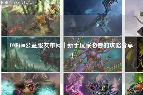 DNF100公益服發(fā)布網(wǎng)｜新手玩家必看的攻略分享！