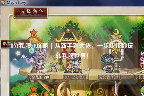 DNF私服SF攻略 | 從新手到大佬，一步步帶你玩轉私服世界！